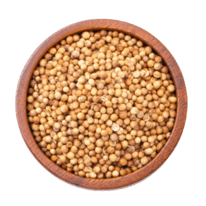 Coriander Split