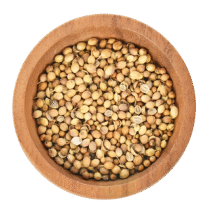 Eagle Corinder Seeds