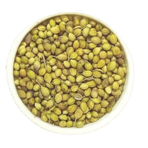 Parrot Corinder Seeds