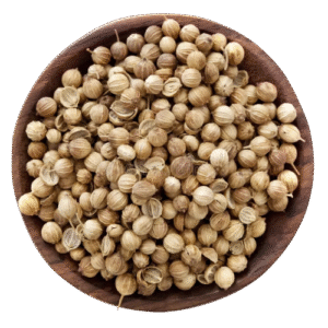 Scooter Corinder Seeds