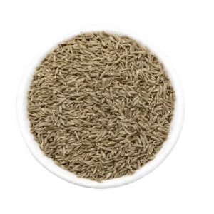 Cumin Seed
