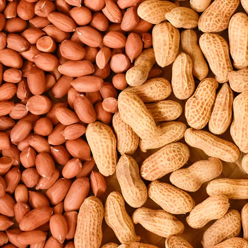 Peanuts