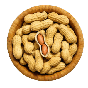 Hand Picked Selected Peanuts